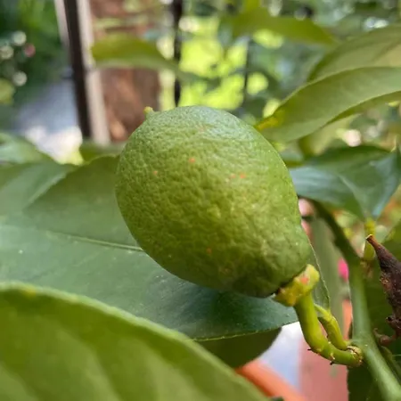 Romantica By Interhome